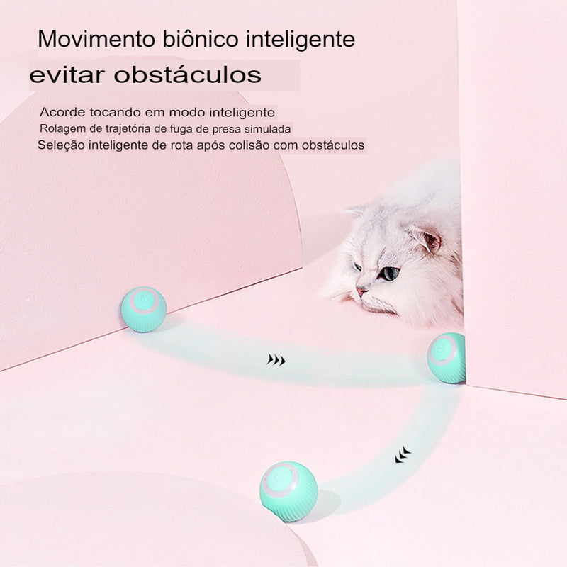 Bola elétrica interativo para gatos